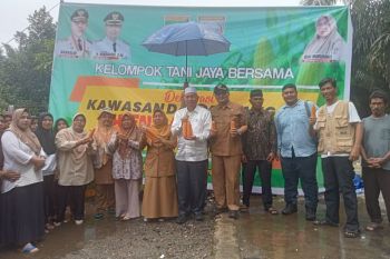 Pasaman Barat deklarasikan kawasan daulat jagung di Ladang Rimbo