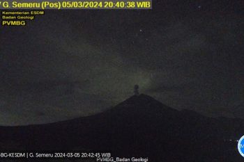 Semeru erupsi dengan ketinggian material vulkanik 800 meter
