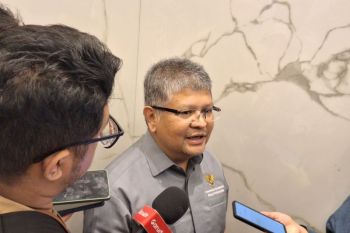 Indonesia bikin peta jalan pemanfaatan kelapa jadi bioavtur