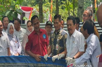 Menteri KKP membantu pengembangan budi daya lele Gunungkidul Rp50 miliar