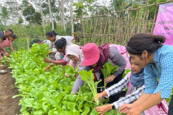 PLN UIP Nusra kembangkan berbagai sektor potensial di sekitar PLTP Ulumbu 5-6 Poco Leok