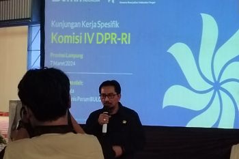 Bapanas minta pemda segera usulkan lokasi gerakan pangan murah