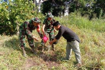 Kodim Polewali Mandar tanam pohon antisipasi dampak bencana hidrometeorologi