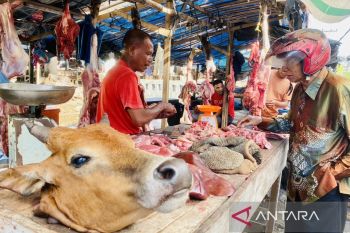Pemkab Aceh Barat catat naiknya harga daging sapi saat tradisi Meugang