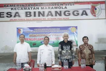 Pemkab Sigi latih keterampilan peternak untuk kelola pakan ternak