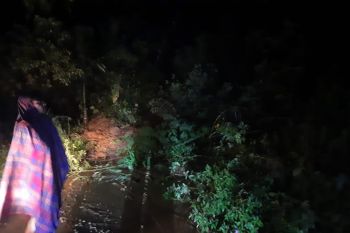 BPBD Agam tangani bencana di enam kecamatan dampak hujan