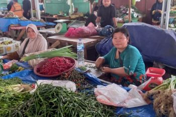 Bulog Riau sebut stok beras cukup sampai Juni 2024