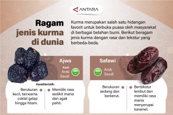 Ragam jenis kurma di dunia