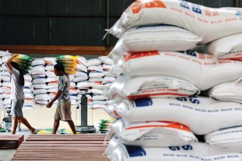 BULOG BALI ALOKASIKAN CADANGAN BERAS SAMBUT GALUNGAN KUNINGAN