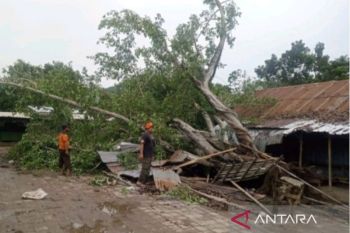 Sebanyak 5 kecamatan di Lombok Barat diterjang angin puting beliung
