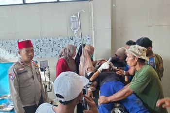 Harimau Sumatera terkam warga di Suoh Lampung Barat