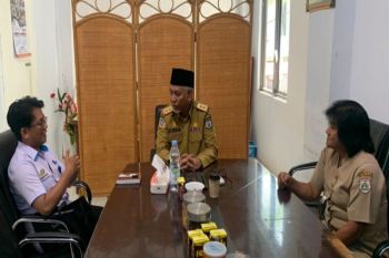 Sulbar dapat kuota peremajaan sawit seluas 3.250 hektare pada 2024