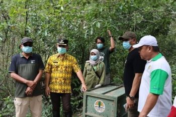 Pj Wali Kota Tarakan Melakukan Pelepasan Bekantan