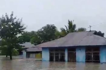 BPBD laporkan banjir terjang rumah warga Desa Naibonat