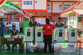 Partisipasi pemilih Pemilu 2024 di Kotim capai 80 persen
