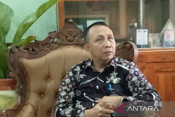 Bantul sebut ketersediaan bawang merah aman