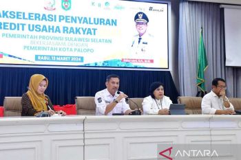 Pemprov Sulsel sosialisasikan penyaluran KUR di Kota Palopo