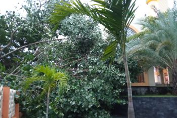 Pemkot Mataram imbau masyarakat waspadai cuaca ekstrem