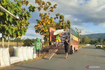 Bulog Raha salurkan 2.500 ton beras untuk kebutuhan hingga Idul Fitri 1445 Hijriah