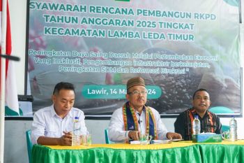 Bupati Manggarai Timur tekankan pentingnya pendataan ibu hamil