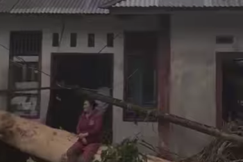 Diduga pemicu bencana, warga Lubuk Nyiur harapkan aparat harus serius tindak ilegal logging