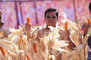 Impor jagung disetop demi serap hasil produksi dalam negeri