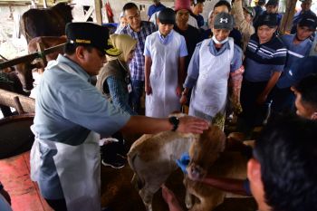 Pj Gubernur Sulsel Safari Ramadhan di Kabupaten Maros