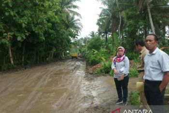 Pemkab Kulon Progo diminta percepat bangun jalan dukung ekonomi
