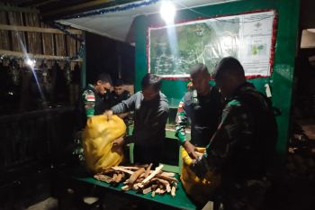 Satgas Pamtas RI-RDTL gagalkan penyelundupan kayu cendana