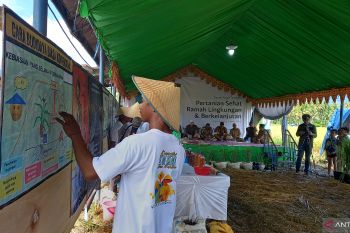 Pemkab-Sigi tekan inflasi dengan ajak pemuda bertani