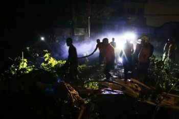 BPBD DIY mengimbau masyarakat pangkas pohon antisipasi cuaca ekstrem
