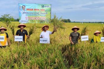 Produksi padi Magetan awal 2024 ditargetkan 161.515 ton