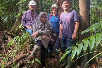 Pakar: Pembakaran lahan gambut percepat pemanasan global
