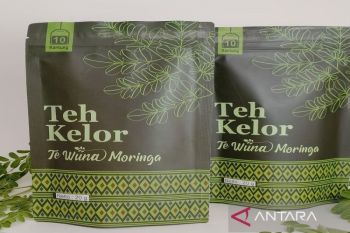 Produk daun kelor di Muna laris terjual di sejumlah daerah