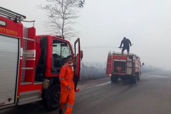 Lahan seluas 240 hektare di Natuna terbakar