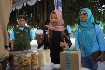 Dinkop UKM Sleman gelar Pasar Lebaran promosikan produk UMKM
