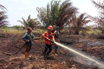 Karhutla terjadi di perbatasan Bengkalis-Dumai, dua heli bantu padamkan
