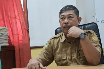 PUPR Jayapura pangkas pohon sepanjang jalan protokol