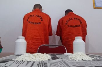 Polda Papua tangkap pemilik pil koplo di kawasan Hamadi Jayapura