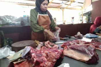 Distan Mataram datangkan 263 ton daging beku untuk kebutuhan Lebaran