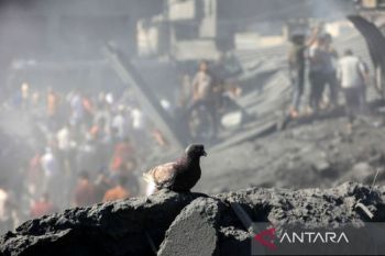 Malaysia sambut baik resolusi Dewan Keamanan PBB 2728 (2024) tentang Gaza