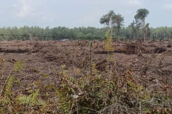 Masyarakat Olak Sungai Mandau tolak lahan 285 ha dikerjasamakan dengan perusahaan