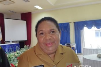 Pemkab-PLN UP3 Jayapura kerja sama tingkatkan pelayanan listrik warga