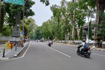 Dukung penghijauan, Pemkot Mataram dapat bantuan 8.000 bibit pohon pelindung