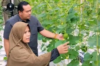 Desa di Pariaman kembangkan inovasi peluang usaha warga