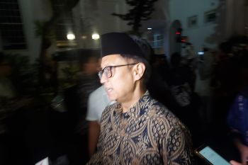 Lima kota di Indonesia terapkan implementasi nyamuk ber-Wolbachia