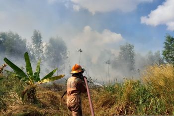 Polres Bintan keluarkan maklumat larangan untuk bakar hutan dan lahan