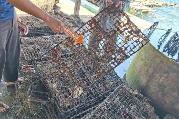 Kerang senilai Rp772 Juta milik warga Lombok Timur raib dicuri maling