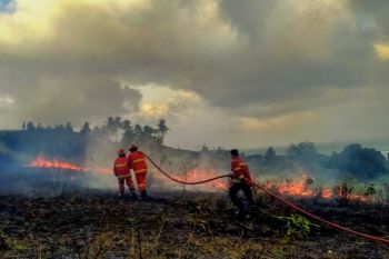 BPBD Natuna: Sampai bulan Maret 2024 luas karhutla capai 424 hektare