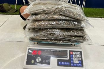 Bea Cukai Makassar menggagalkan penyelundupan ganja dari Sumut